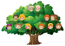 23 411 family tree stock ilrations