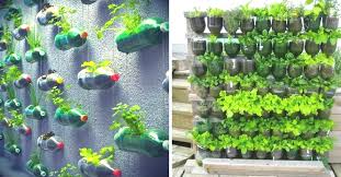 What To Do With Waste Plastic Bottles