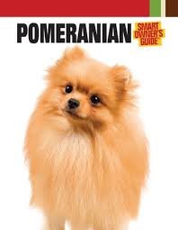 pomeranian ebook by dog fancy magazine