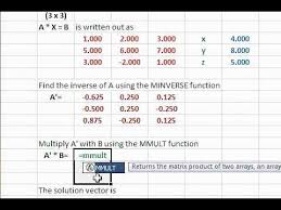 Using Excel Matrix Functions