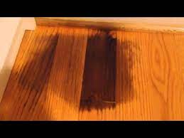 remove pet urine on hardwood floor