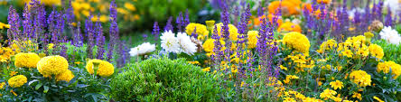 Make Your Backyard A Flower Garden 5
