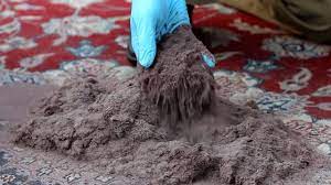dust hidden in your carpets