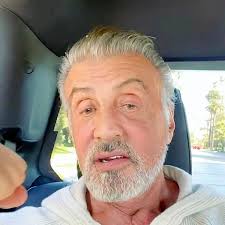 By the way, the name stallone means stallion in italian. Sylvester Stallone Fans Gush Over Silver Fox As He Unveils His Natural Grey Hair Mirror Online