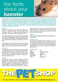 Take time to bond with your hamster. Hamster Facts Sheet Read Hamsters Discover Pictures And Facts About Hamsters A Children S Hamster Book Online By Bold Kids Books They Love Lots Of Attention And Enjoy Interacting With