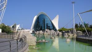 Santiago calatrava, einer der begehrtesten . Valencia 2021 Top 10 Touren Aktivitaten Mit Fotos Erlebnisse In Valencia Spanien Getyourguide