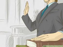 How To Plead Guilty In Court 14 Steps With Pictures Wikihow