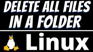 linux command to delete all files in a