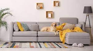 7 Pet Friendly Furniture Ideas