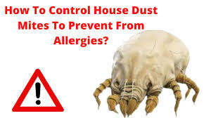 how to control house dust mites to