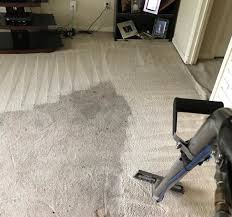 carpet cleaning services terry s