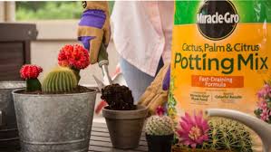 Vegetable garden soil for edible plants, garden soil for flowers and so on. Choosing The Best Potting Soil And Raised Bed Soil