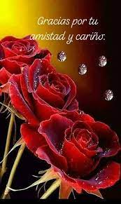 🌹🌹 MUCHAS GRACIAS POR ESTAR AQUI💗🌹🌹 - Mis hermosas rosas rojas | Facebook
