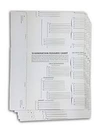 Details About Treeseek 15 Generation Pedigree Chart 10 Pack Blank Genealogy Forms For F