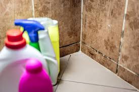 how to get rid of mold in your bathroom