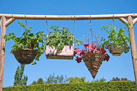 How To Plant A Hanging Basket Rhs