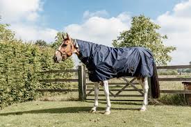 turnout rug all weather quick dry