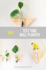 Cute Diy Test Tube Wall Planter The