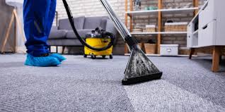 carpet cleaning experts top cleaners