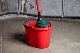 Bucket With Mob In Flooded Basement Or