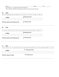 Transcription and translation practice worksheet example: Transcription Translation Practice Worksheet With Answers