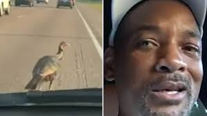 Will Smith Gets Stopped In His Tracks By A Turkey Crossing