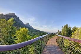 kirstenbosch botanical gardens in