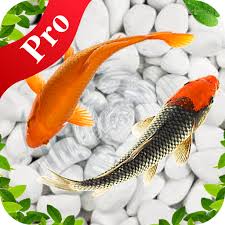 Water Garden Pro 1 4 0 Apk Free