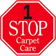 carpet cleaning repair in novi mi
