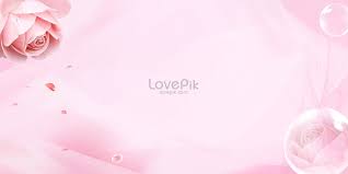 hd pink background backgrounds images