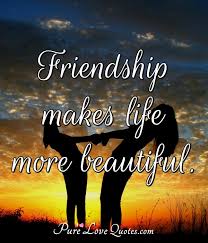 You have someone who you spend time with, who knows you sometimes better than you know yourself, and who is there for you no matter what. Friendship Makes Life More Beautiful Purelovequotes