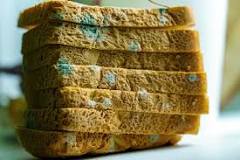 What should I do if I accidentally ate moldy bread?