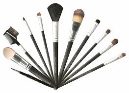 royal cosmetic brushes makeup