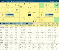 9 Divisional Chart Calculator