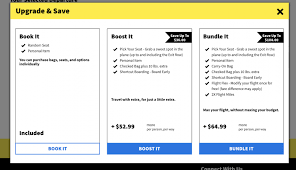 spirit airlines fees what to know