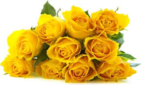 delicious yellow roses definition