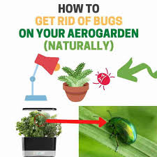bugs in your aerogarden naturally