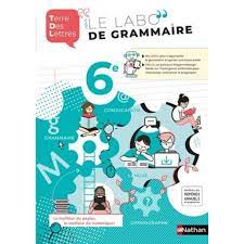 LE LABO DE GRAMMAIRE 6E TERRE DES LETTRES. EDITION 2020, Denéchère  Anne-Christine pas cher - Auchan.fr