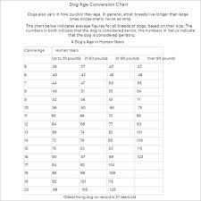 83 Free Conversion Chart Templates Pdf Download Creative