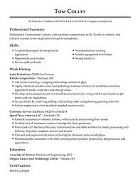 Examples Of Resumes For A Job Curriculum Vitae Examples For