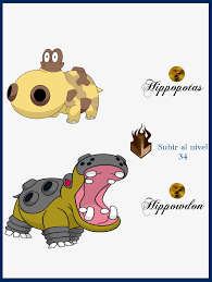 Hippopotas Evolution Related Keywords Suggestions