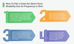 Short Term Insurance For Pregnancy gambar png
