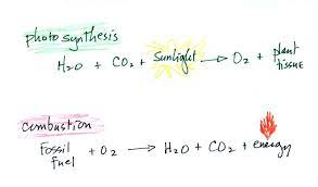 36 Combustion And Photosynthesis W