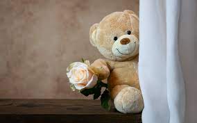 teddy bear wallpaper 4k rose cute toy