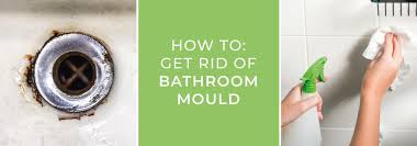 How To Get Rid Of Bathroom Mould Big