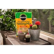 Miracle Gro Cactus Palm Citrus Potting Mix 2 Pack