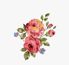 Rose Flower Flowers Watercolor