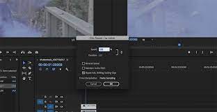 sd of your clip in premiere pro