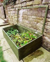 Planter Box With Lid Winter Container