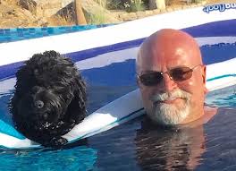 See what samantha thompson (samantuhlee) has discovered on pinterest, the world's biggest collection of ideas. Having A Dog In Los Cabos Local Baja